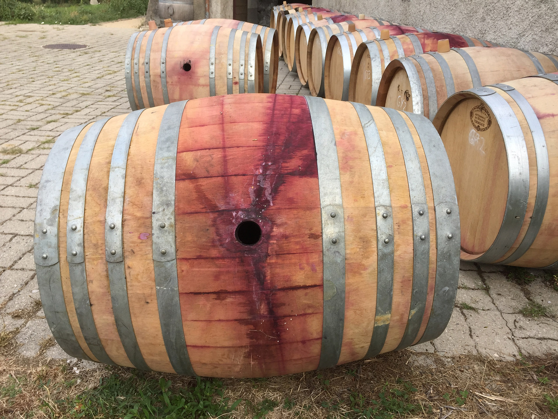 Online Workshop – Fine With Wine: The Maturation And Finishing Of Spirits In Wine Casks